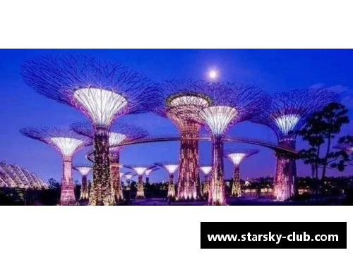 星空体育新加坡游学｜顶尖国际学校插班游学营
